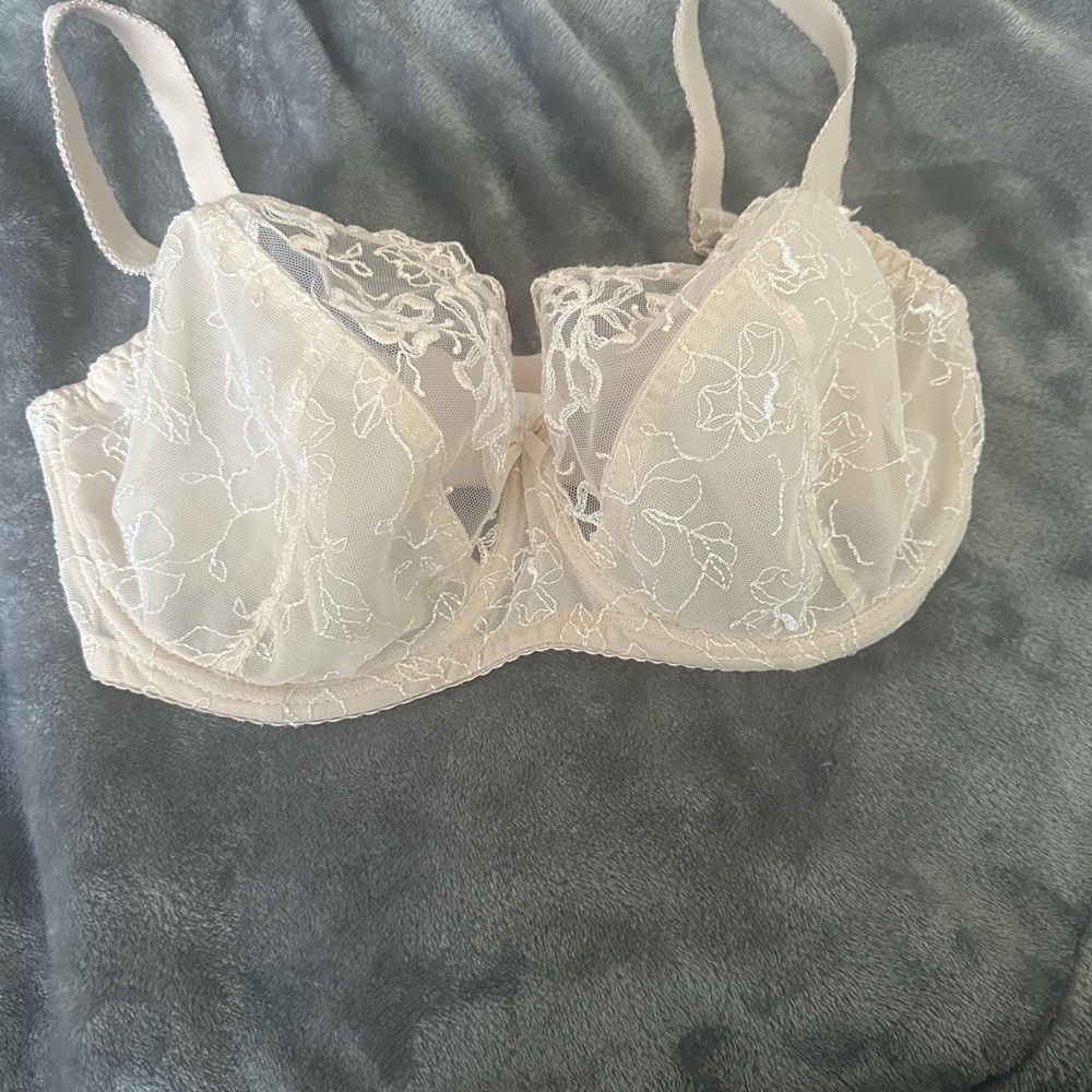 Sheer Embroidered Lace Underwire Bra - Ivory